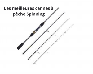 meilleures cannes à pêche spinning