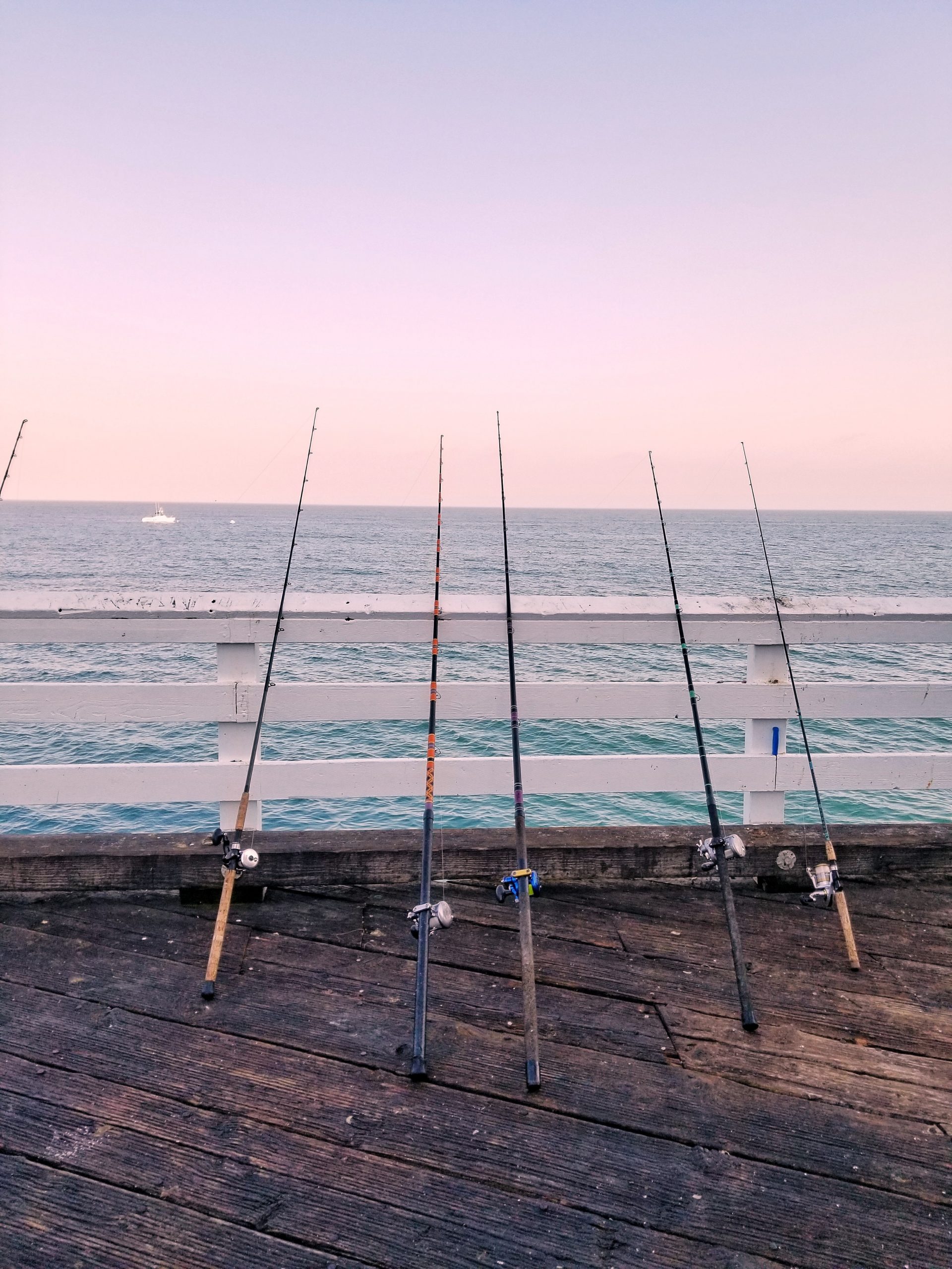 meilleur canne a peche bord de mer